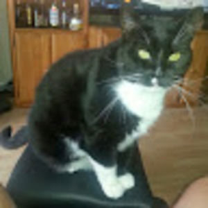 Meet your Posher, Jeff